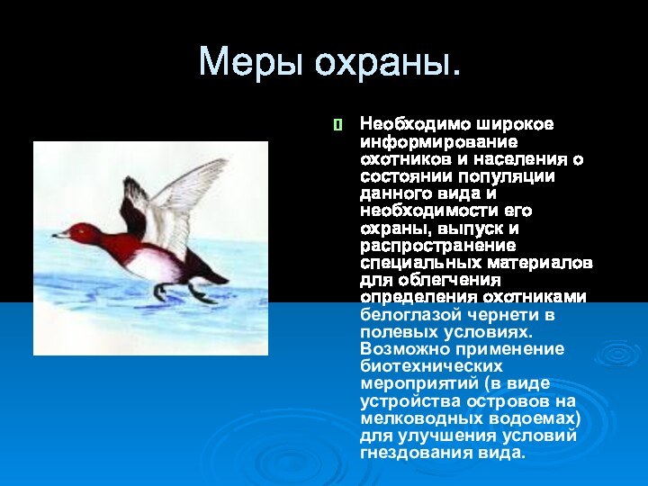 Меры охраны.Необходимо широкое информирование охотников и населения о состоянии популяции данного вида