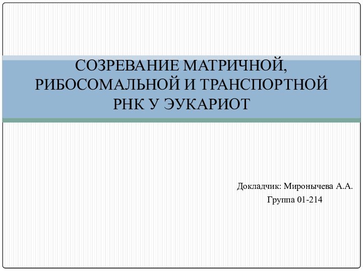 Докладчик: Миронычева А.А.Группа 01-214СОЗРЕВАНИЕ МАТРИЧНОЙ, РИБОСОМАЛЬНОЙ И ТРАНСПОРТНОЙ РНК У ЭУКАРИОТ