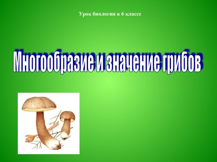 Урок биологии в 6 классеМногообразие и значение грибов