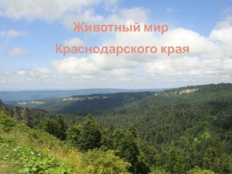 Животный мир Краснодарского края