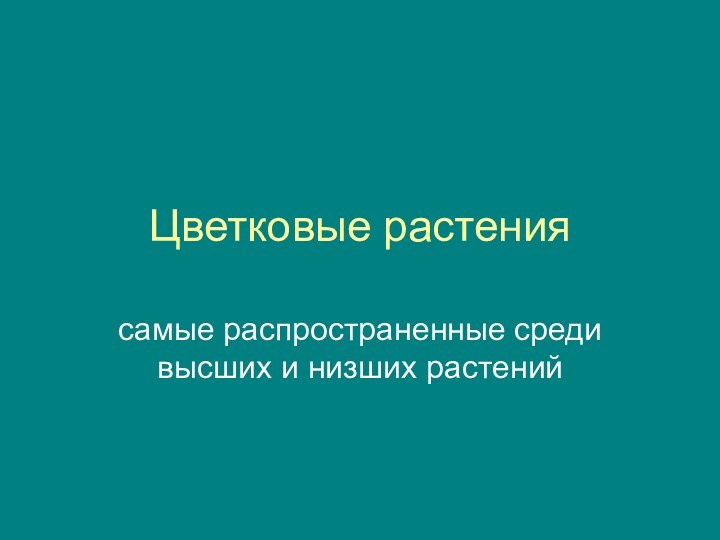 Цветковые растениясамые распространенные среди высших и низших растений