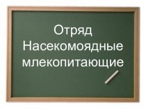 Отряд Насекомоядные млекопитающие