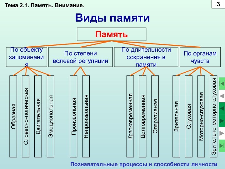 Виды памятиПамятьПознавательные процессы и способности личностиПо объектузапоминанияПо степени волевой регуляцииПо длительностисохранения в