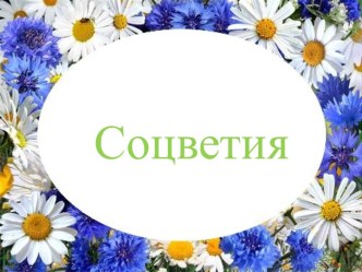 Соцветия