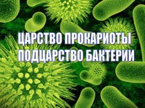 Царство прокариоты, подцарство бактерии