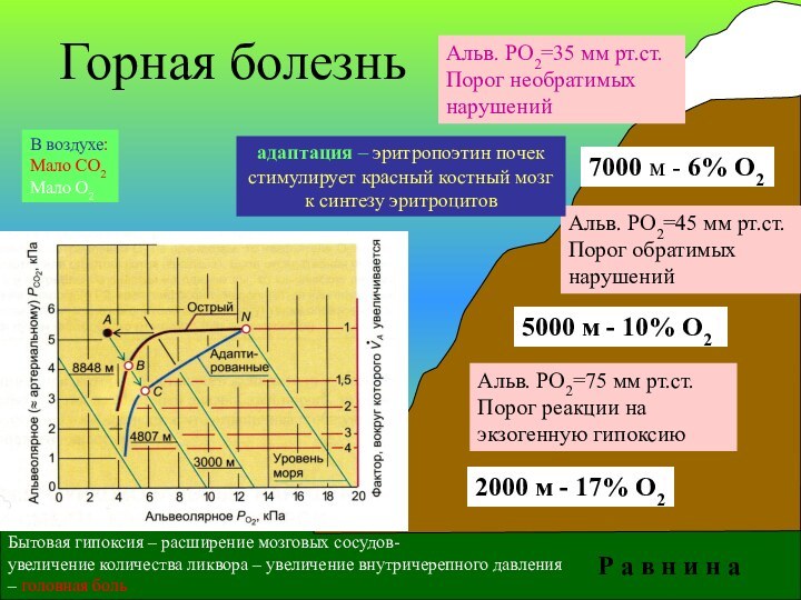 2000 м - 17% О25000 м - 10% О27000 м - 6%