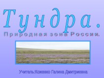 Тундра. Природная зона России