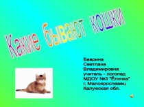 Какие бывают кошки