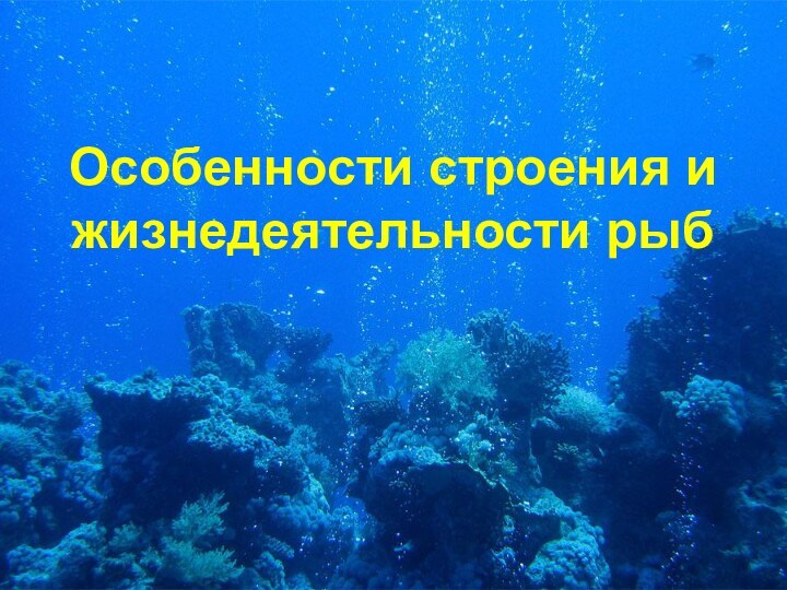 Особенности строения и жизнедеятельности рыб