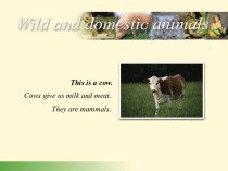 Дикие и домашние животные содержит картинки и описание животных на английском языке.