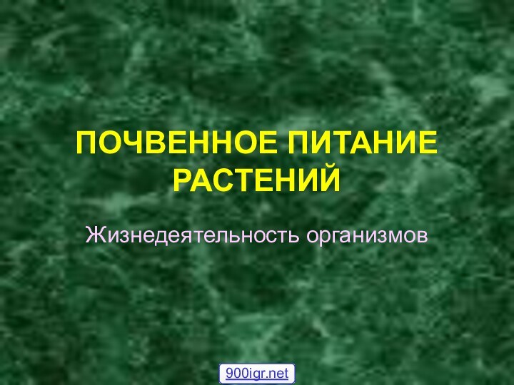 ПОЧВЕННОЕ ПИТАНИЕ РАСТЕНИЙ Жизнедеятельность организмов