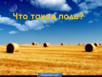 Что такое поле?