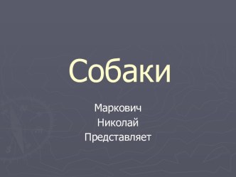 Собаки