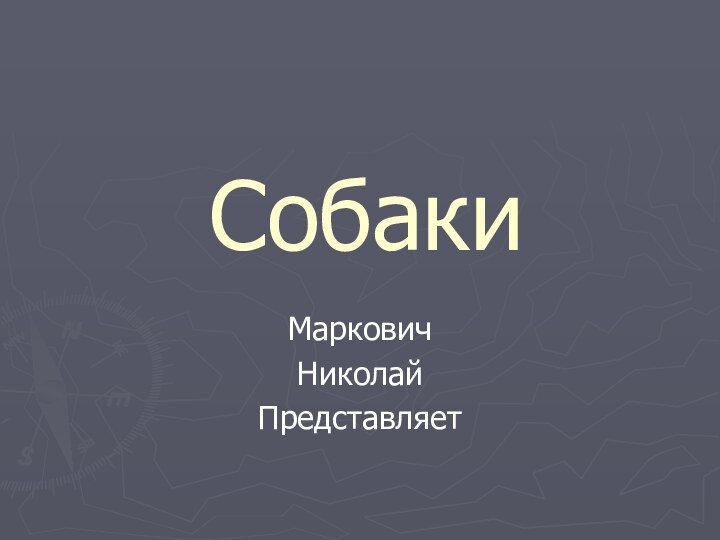 СобакиМарковичНиколайПредставляет