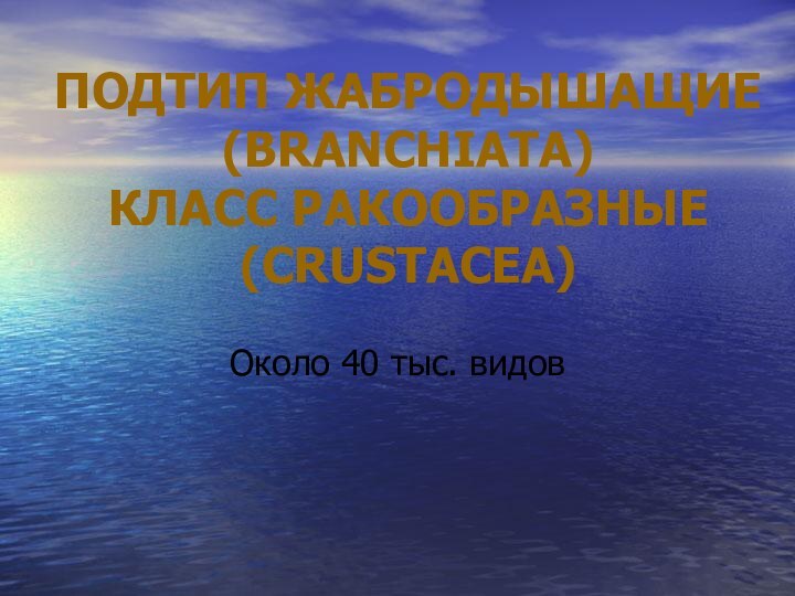 ПОДТИП ЖАБРОДЫШАЩИЕ (BRANCHIATA) КЛАСС РАКООБРАЗНЫЕ (CRUSTACEA)Около 40 тыс. видов