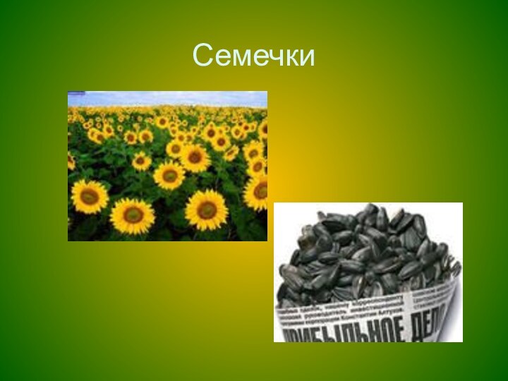 Семечки