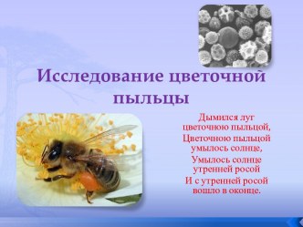 Исследование цветочной пыльцы