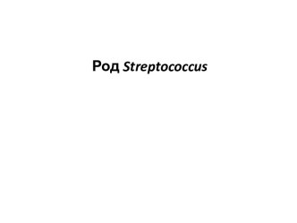 1.2 стрептококки