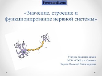 ЗНАЧЕНИЕ, СТРОЕНИЕ И ФУНКЦИОНИРОВАНИЕ НЕРВНОЙ СИСТЕМЫ