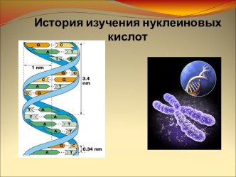 История изучения нуклеиновых кислот