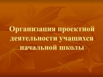 Организация проектной деятельности учащихся начальной школы