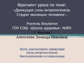 Движущие силы антропогенеза. Стадии эволюции человека