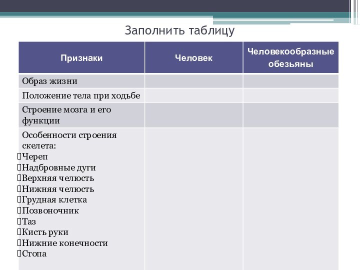 Заполнить таблицу