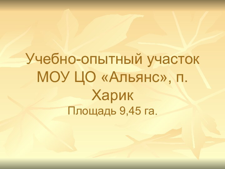 Учебно-опытный участок МОУ ЦО «Альянс», п.Харик Площадь 9,45 га.