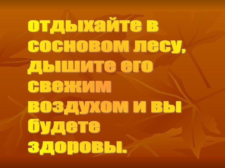 отдыхайте в  сосновом лесу,  дышите его  свежим  воздухом