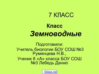 Строение класса земноводных