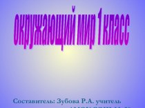 Удивительные растения мира