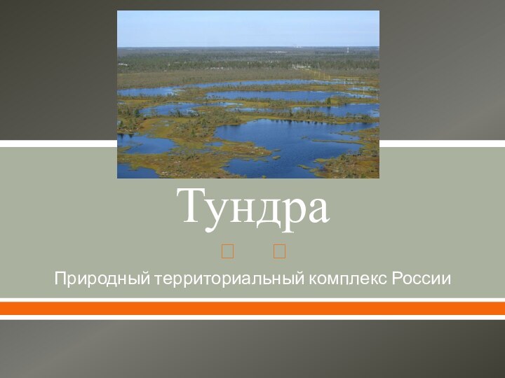 ТундраПриродный территориальный комплекс России