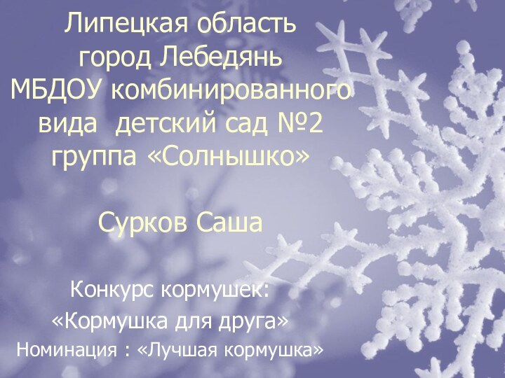 Липецкая область  город Лебедянь МБДОУ комбинированного вида детский сад №2 группа