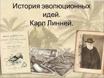 История эволюционных идей. Карл Линней