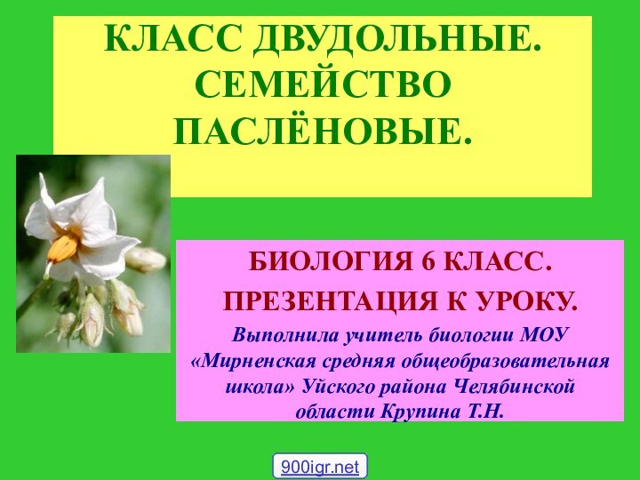 КЛАСС ДВУДОЛЬНЫЕ. СЕМЕЙСТВО ПАСЛЁНОВЫЕ. БИОЛОГИЯ 6 КЛАСС.ПРЕЗЕНТАЦИЯ К УРОКУ.Выполнила учитель биологии МОУ