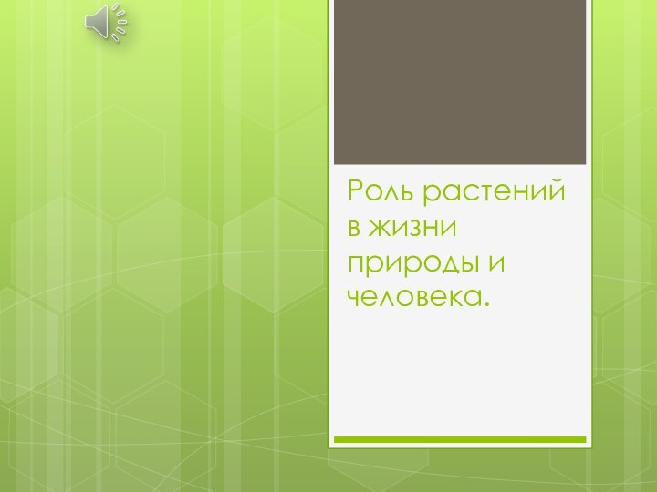 Роль растений в жизни природы и человека.