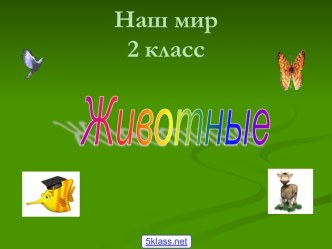 Мир животных 2 класс