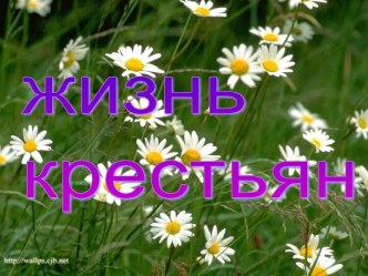 жизнь крестьян