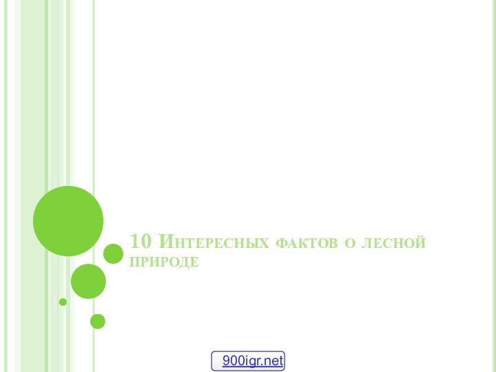 10 Интересных фактов о лесной природе