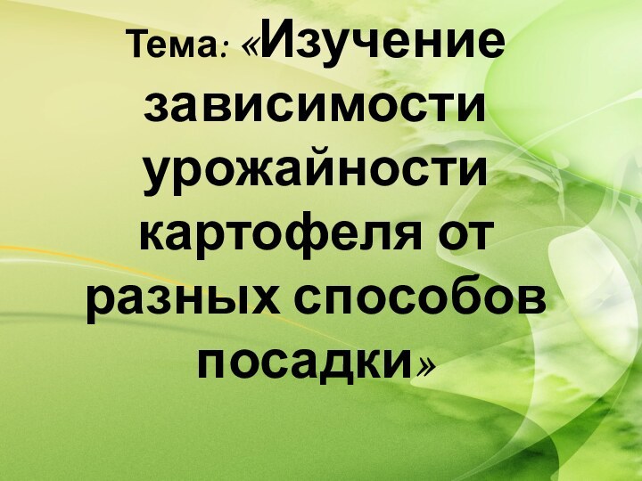 Тема: «Изучение зависимости урожайности картофеля от разных способов посадки»