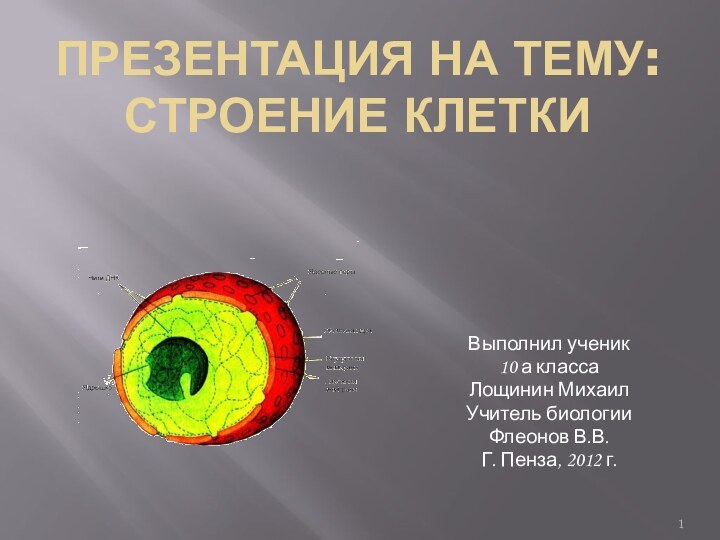 Презентация на тему: строение клеткиВыполнил ученик 10 а классаЛощинин Михаил Учитель биологииФлеонов В.В.Г. Пенза, 2012 г.