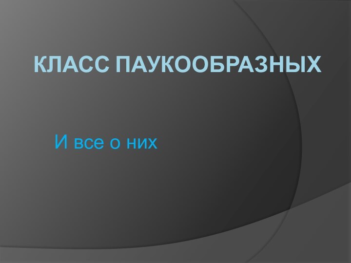 КЛАСС ПАУКООБРАЗНЫХИ все о них