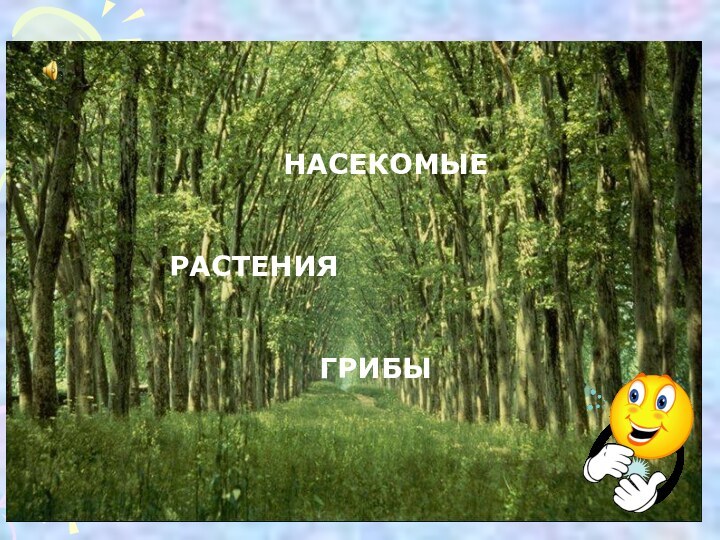 РАСТЕНИЯГРИБЫНАСЕКОМЫЕ