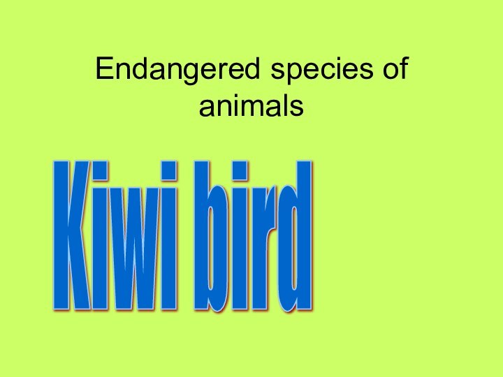 Endangered species of animals Kiwi bird