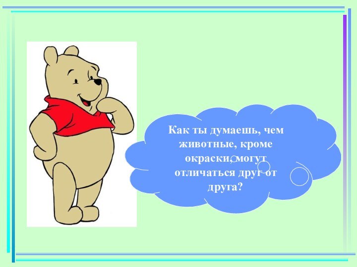 Как ты думаешь, чем животные, кроме окраски, могут отличаться друг от друга?