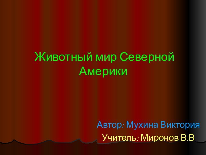 Животный мир Северной Америки Автор: Мухина Виктория