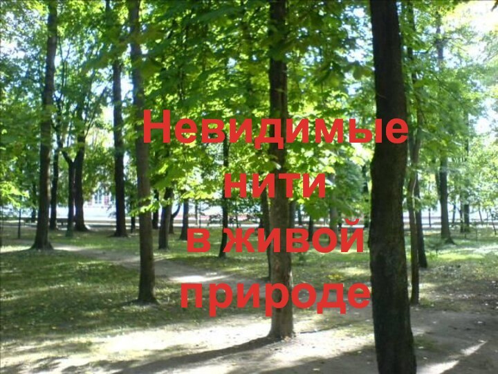 Невидимые нитив живой природе