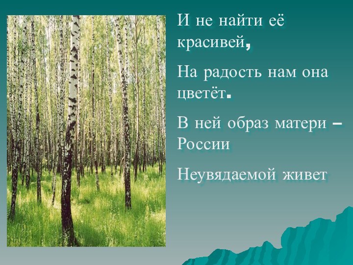 И не найти её красивей,На радость нам она цветёт.В ней образ матери – РоссииНеувядаемой живет