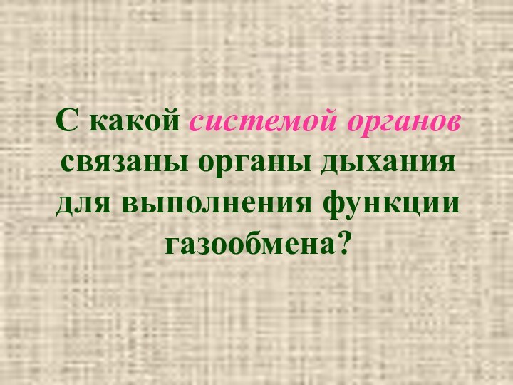 С какой системой органов связаны органы дыхания для выполнения функции газообмена?