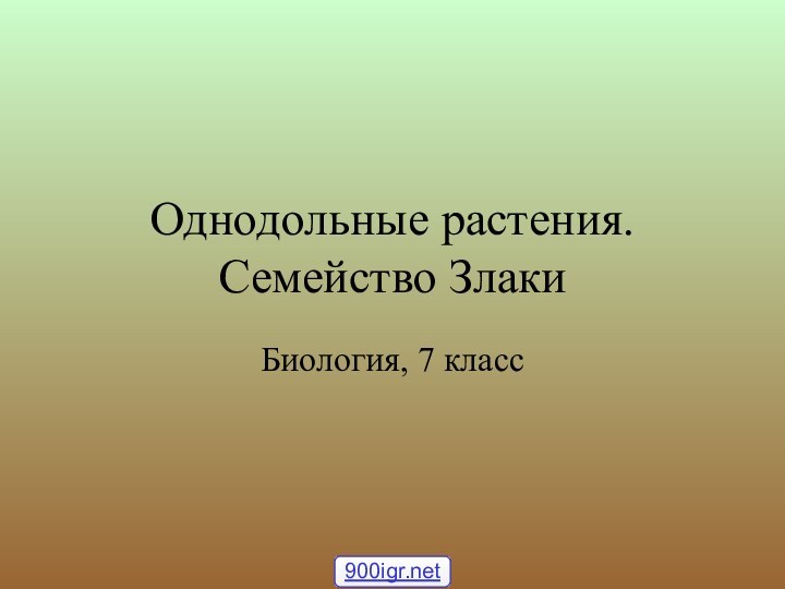 Однодольные растения. Семейство ЗлакиБиология, 7 класс